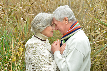 Image showing Senior couple standing in autumn