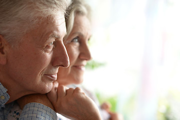 Image showing Portrait of a happy senior couple.