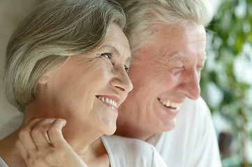 Image showing Portrait of a happy senior couple