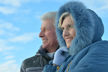 Image showing Senior couple in winter