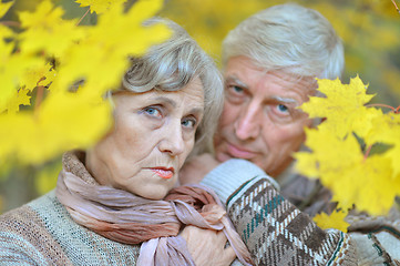 Image showing Senior couple in autumn park