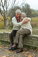 Image showing Handsome elderly couple