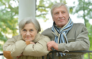 Image showing Senior couple in autumn park