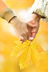 Image showing Hands of people of different ages