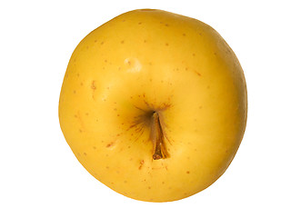 Image showing Apple fruit