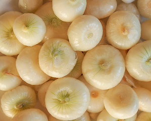 Image showing Onions