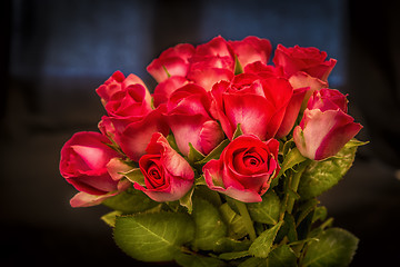 Image showing Roses