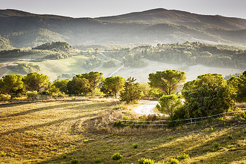 Image showing Landscape Volterra