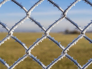 Image showing fence with frost