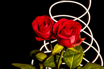 Image showing Roses with lights