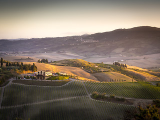 Image showing Landscape near Pienza