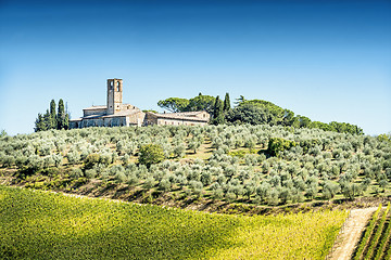Image showing Olive trees with old building