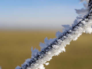 Image showing fence with frost