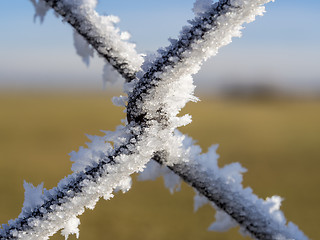 Image showing fence with frost