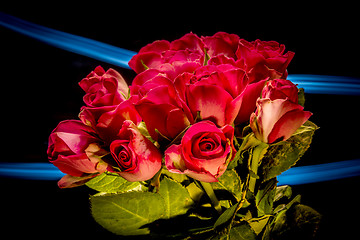 Image showing Roses with lights