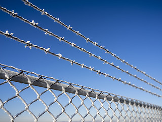 Image showing fence with frost