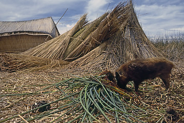 Image showing Lake Titicaca