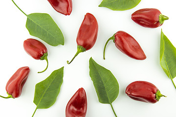 Image showing hot chili pepper