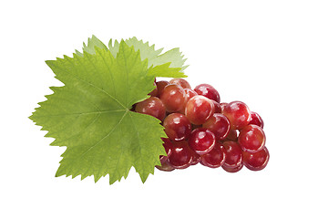 Image showing Ripe grapes with leaf