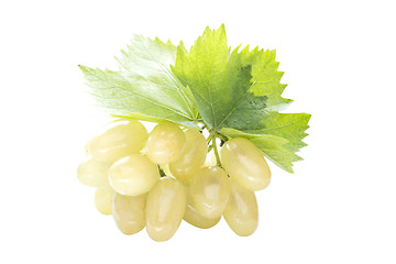 Image showing Ripe grapes with leaf