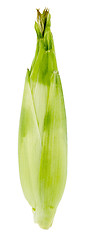 Image showing Corn