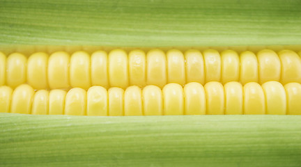 Image showing Corn