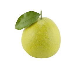 Image showing Bergamot oranges