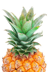 Image showing Pineapple