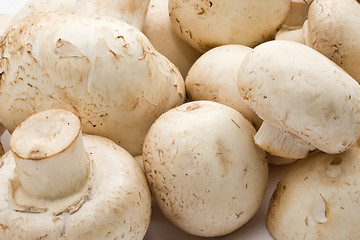 Image showing Champignon mushrooms