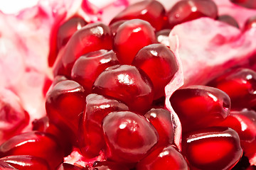 Image showing Pomegranate