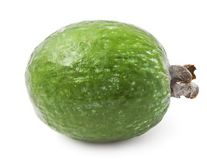 Image showing Feijoa fruit