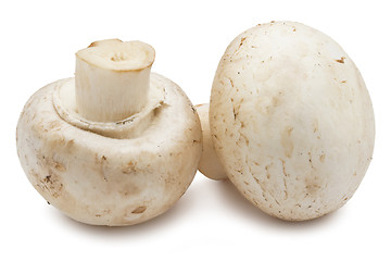 Image showing Champignon mushrooms