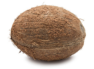 Image showing Coconut