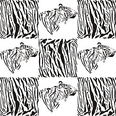 Image showing Tiger patterns for textiles and wallpaper