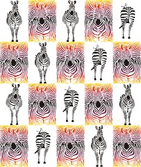 Image showing Zebra pattern background for textiles