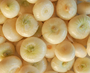 Image showing Onions