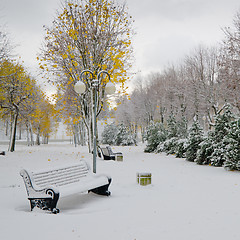 Image showing Alley in the Park later in the autumn. Snow storm 