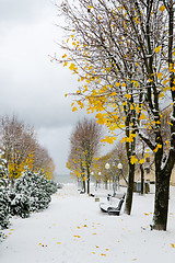 Image showing Alley in the Park later in the autumn. Snow storm 