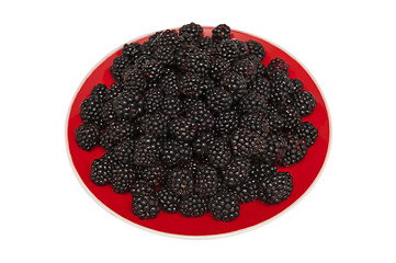 Image showing Blackberries