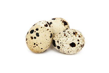 Image showing Quail eggs