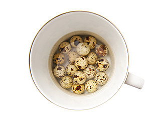 Image showing Quail eggs