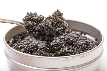 Image showing Black caviar in spoon from metal can, high angle