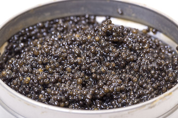 Image showing Black caviar in metal can, high angle