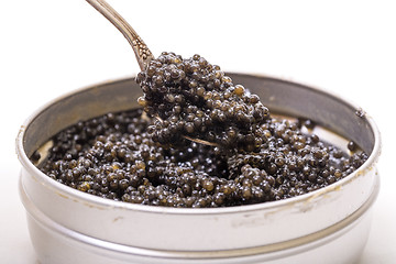 Image showing Black caviar in spoon from metal can, high angle
