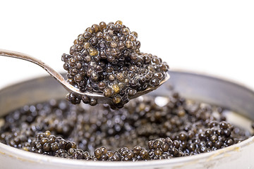 Image showing Black caviar in spoon from metal can, high angle