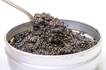 Image showing Black caviar in spoon from metal can, high angle