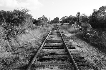 Image showing Black and white Railroad tracks in florida