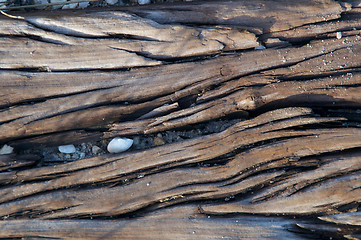 Image showing dried wood grain