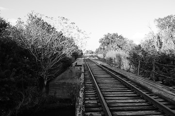 Image showing old Railroad bridge in wilderness