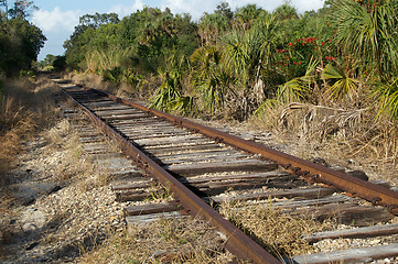 Image showing Railroad tracks in florida wilderness